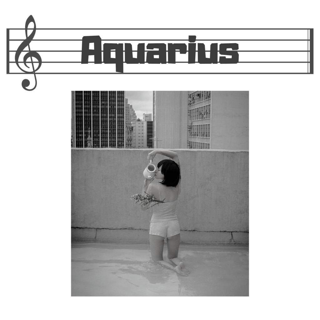 https://www.emmyofthelou.com/wp-content/uploads/2022/02/Music-Bars-With-Aquarius-Text-1-1024x1024.png